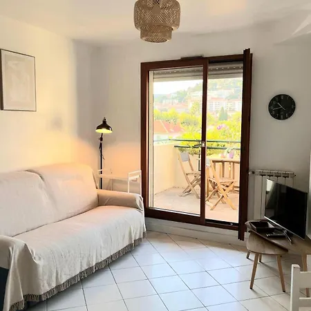Apartment T2, 4 Pers Max, Terrasse Avec Vue Et Parking Prive, Proche Centre Et Hyères